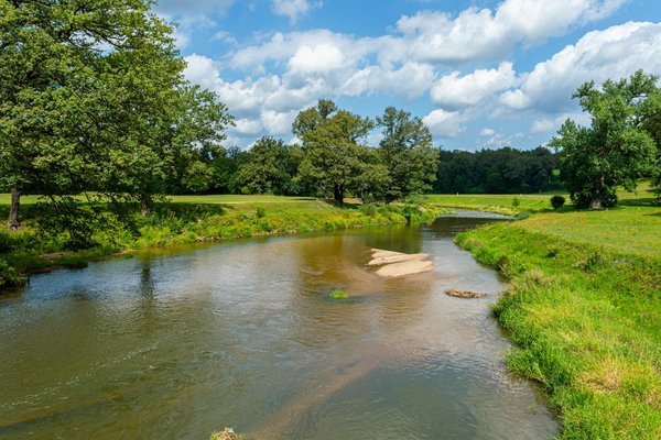 L'incroyable avancée de l'odorat durant la grossesse : un phénomène surprenant et authentique